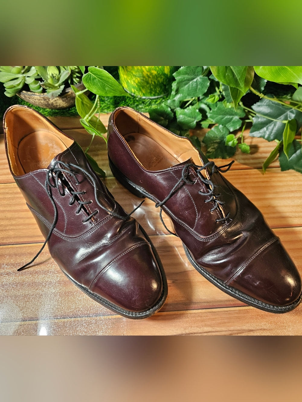 Allen Edmond Mens Shoes in Size 12 Burgundy